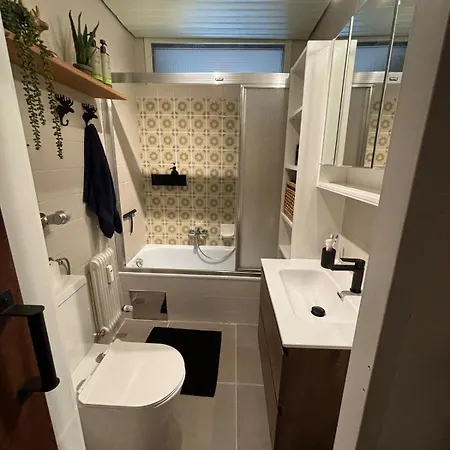 公寓 Charming Berggeweih At Zwoelferkogel In Hinterglemm