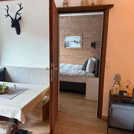 公寓 Charming Berggeweih At Zwoelferkogel In Hinterglemm *