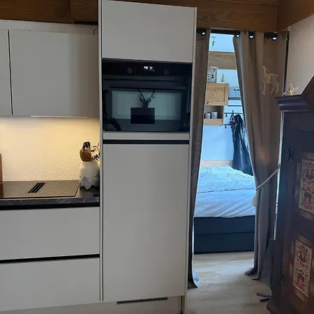 Charming Berggeweih At Zwoelferkogel In Hinterglemm *