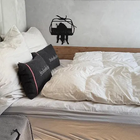 Charming Berggeweih At Zwoelferkogel In Hinterglemm Lägenhet