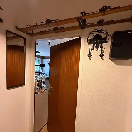 公寓 Charming Berggeweih At Zwoelferkogel In Hinterglemm *