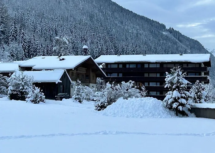 Charming Berggeweih At Zwoelferkogel In Hinterglemm * Grossing (Liezen)
