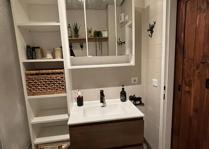 Charming Berggeweih At Zwoelferkogel In Hinterglemm