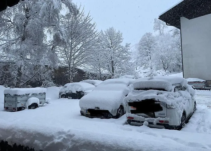 Charming Berggeweih At Zwoelferkogel In Hinterglemm