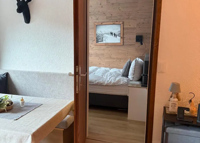 公寓 Charming Berggeweih At Zwoelferkogel In Hinterglemm *