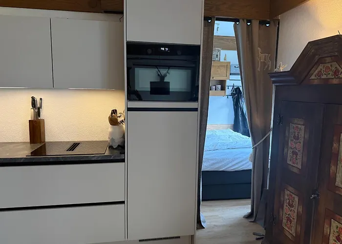 Charming Berggeweih At Zwoelferkogel In Hinterglemm *